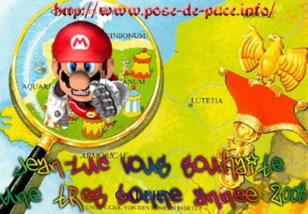 pose de puce sur la Bretagne